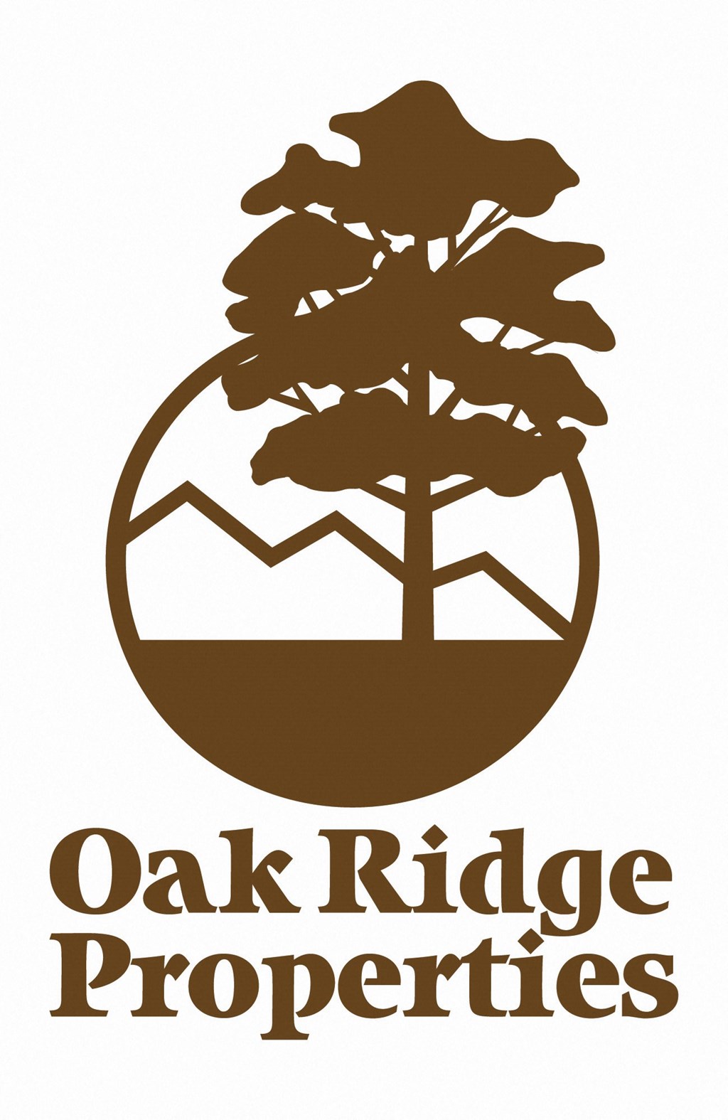 the logo properties