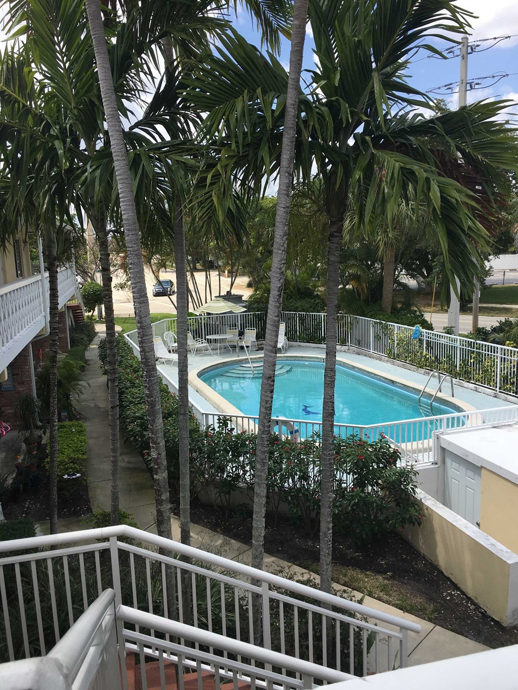 a view of the pool from a balcony with palm trees