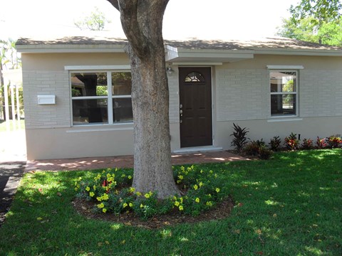 a tree in the front yard of a house