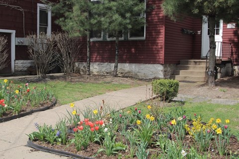 A red house with a white door and a small garden in front.