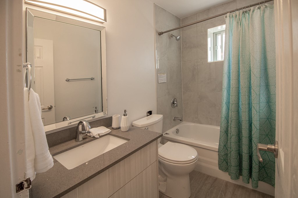 a bathroom with a sink toilet and a shower