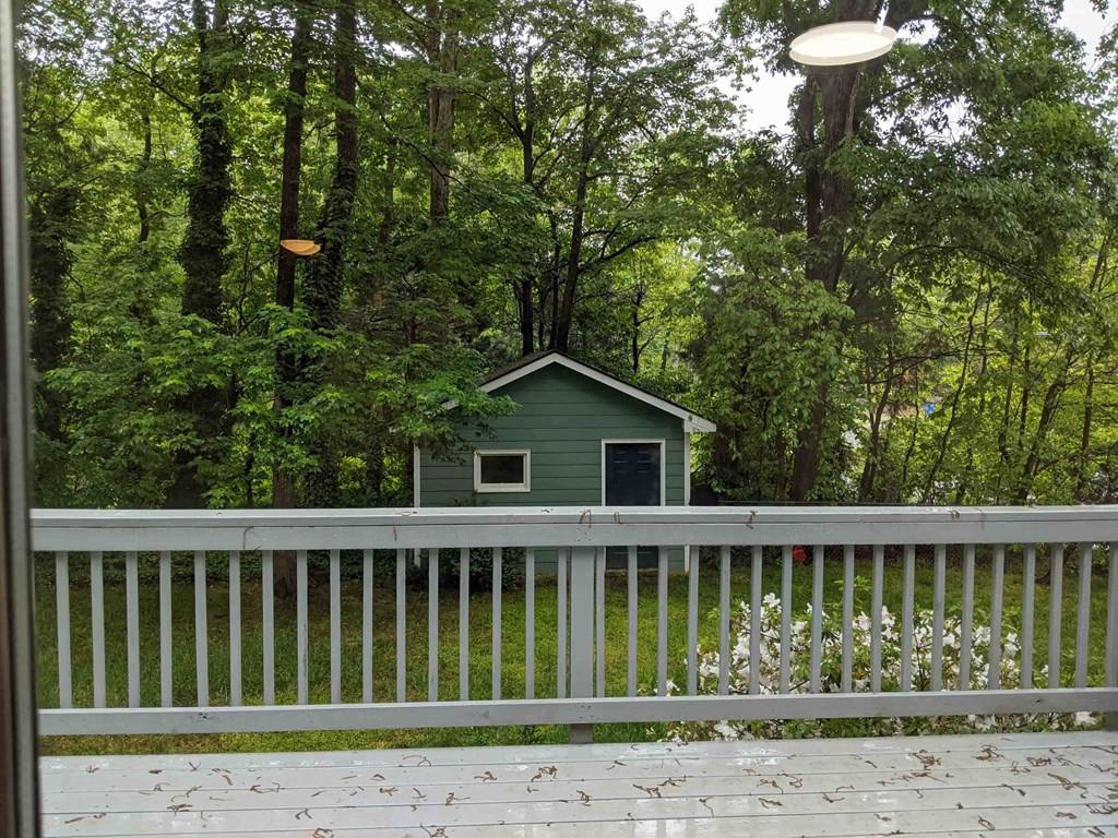 A small green house is surrounded by trees.