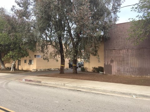 A tree in front of a tan building with a brown wall.