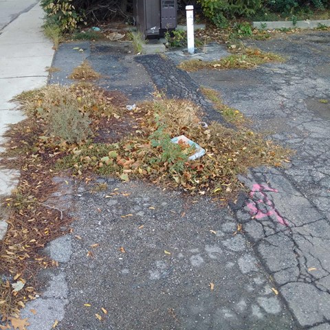 a pile of dead grass and weeds on a sidewalk