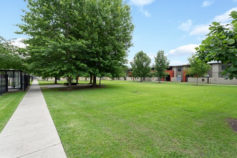 a large grassy area with trees and a sidewalk