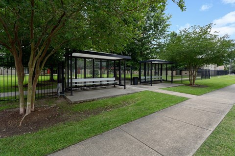 a park with benches and trees and a sidewalk