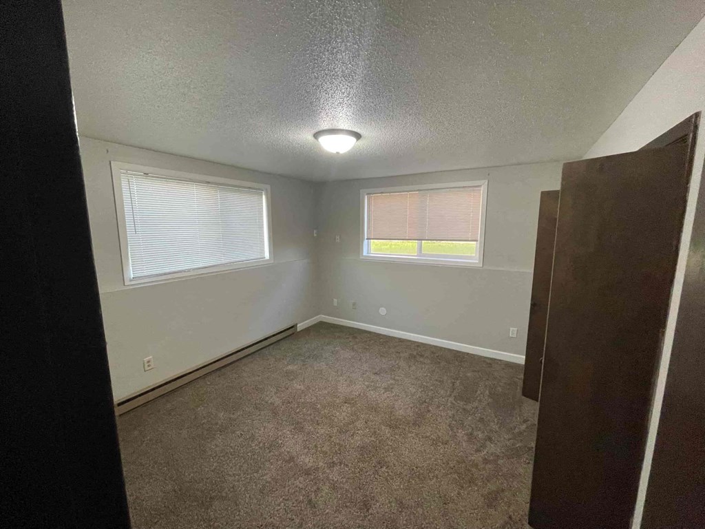 A room with carpeted floor, two windows with blinds, and a brown door.