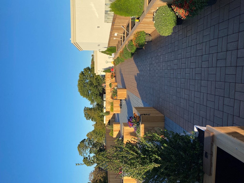 a view of the side of a building with stairs and plants