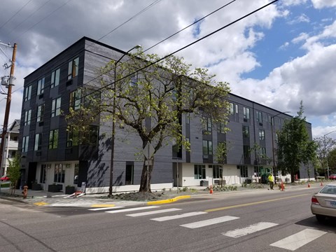 a large building with a tree in front of it on a city street