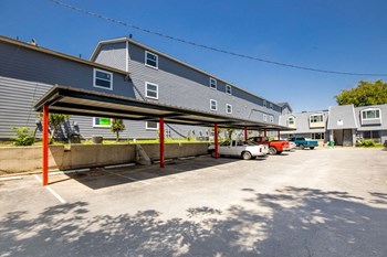 1714 Patton Lane Studio-3 Beds Apartment for Rent - Photo Gallery 5