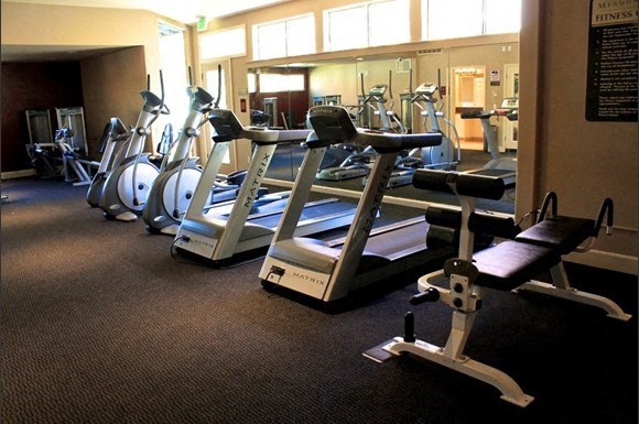 a row of cardio machines in a gym with a wall of windows