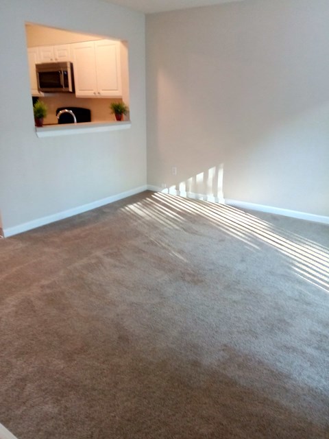 A room with a carpeted floor and sunlight streaming in through a window.