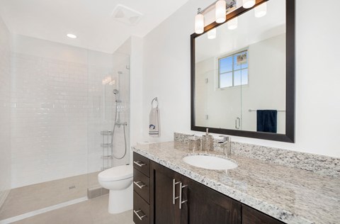 a bathroom with a shower and a sink and a mirror