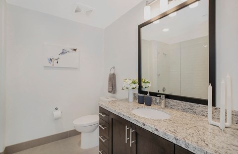 a bathroom with a sink and a toilet and a mirror