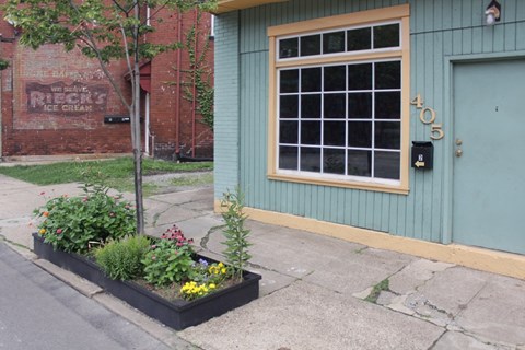 A flower box is on the sidewalk in front of a green door.