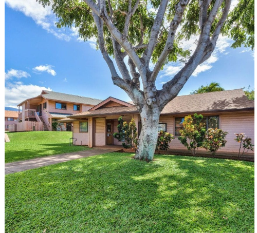 a home with a large tree in front of it