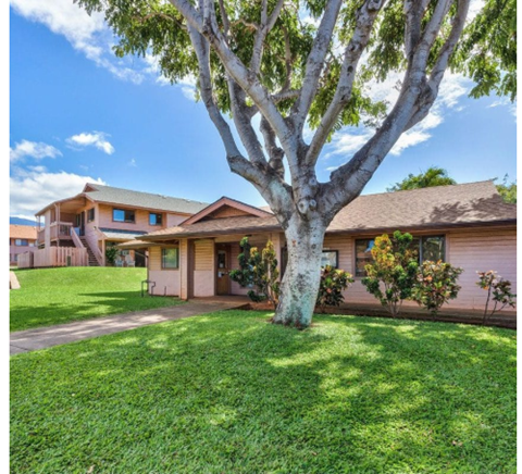 a home with a large tree in front of it