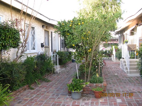 A pathway with a tree and potted plants in front of a house.