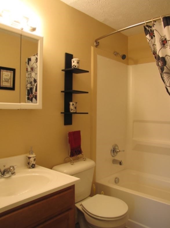 a bathroom with a toilet and a sink and a bath tub