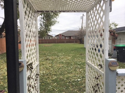 a backyard with a white gazebo and a yard