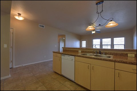 a kitchen with a sink and a counter top