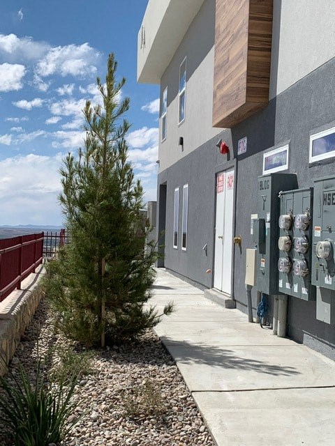 a small pine tree in front of a building