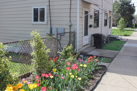 A flower bed with red, yellow and pink tulips in front of a house.