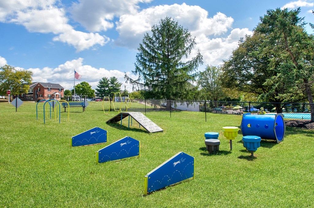 a park with a playground and some blue and yellow equipment
