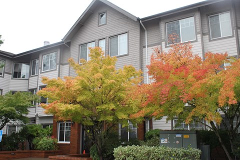 the outside of a building with trees in front of it