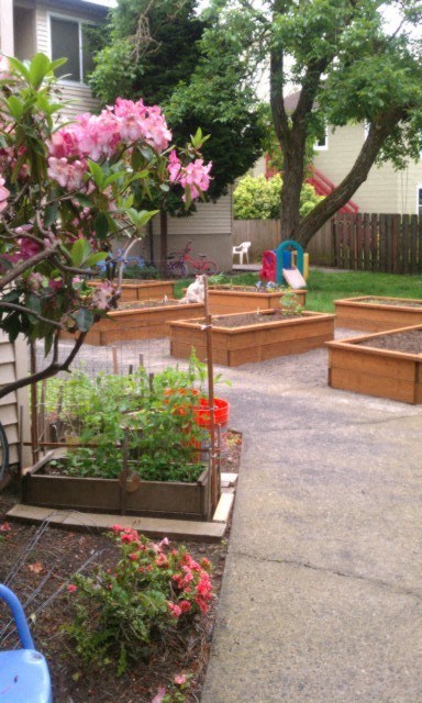A backyard with a playset and a few plants.