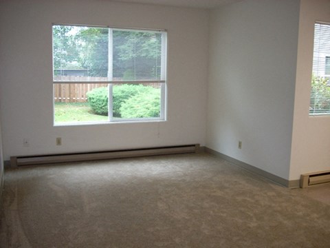 A room with a window and a carpeted floor.