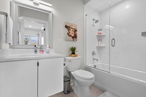 a white bathroom with a shower and a toilet