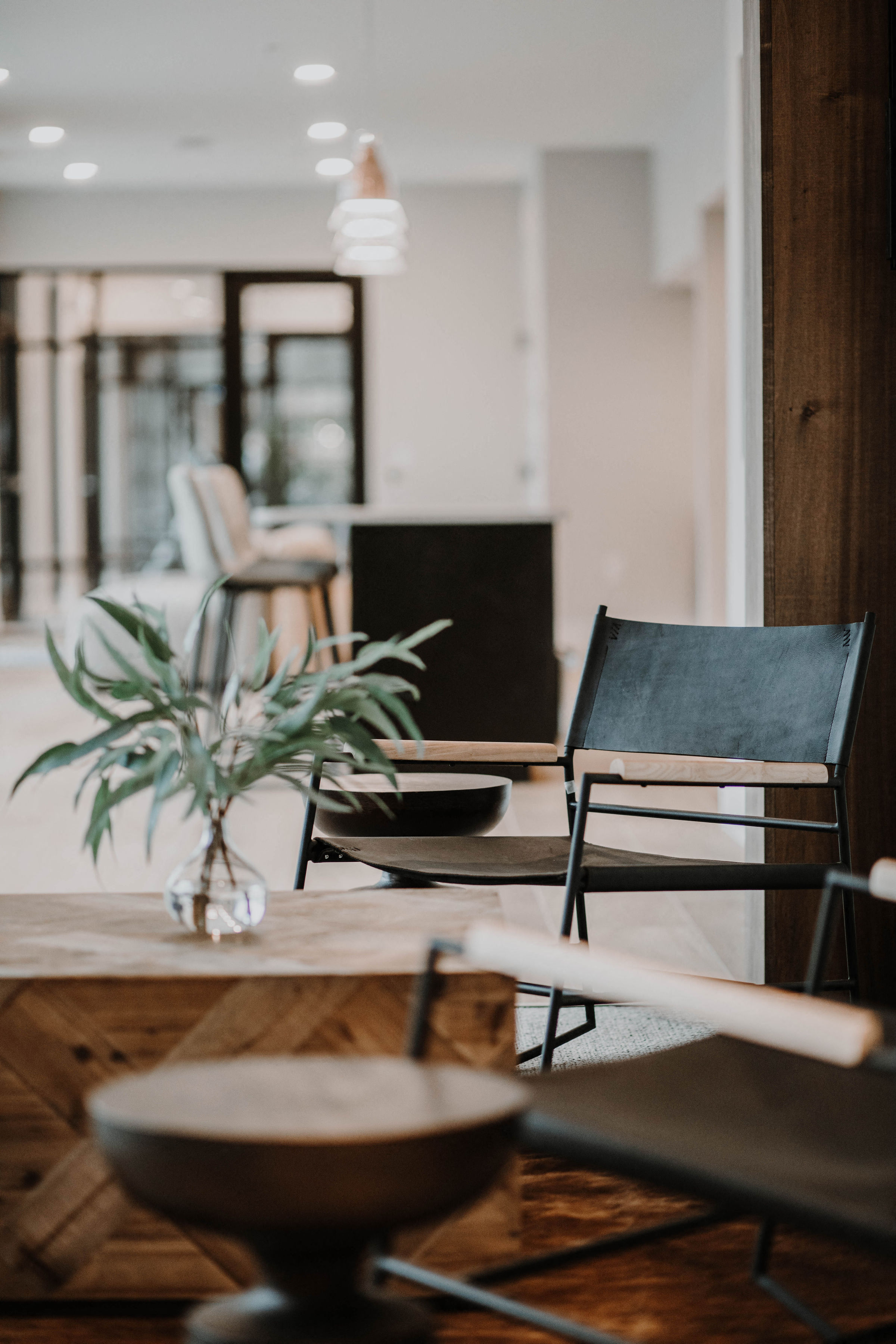 a living room with chairs and a table with a plant