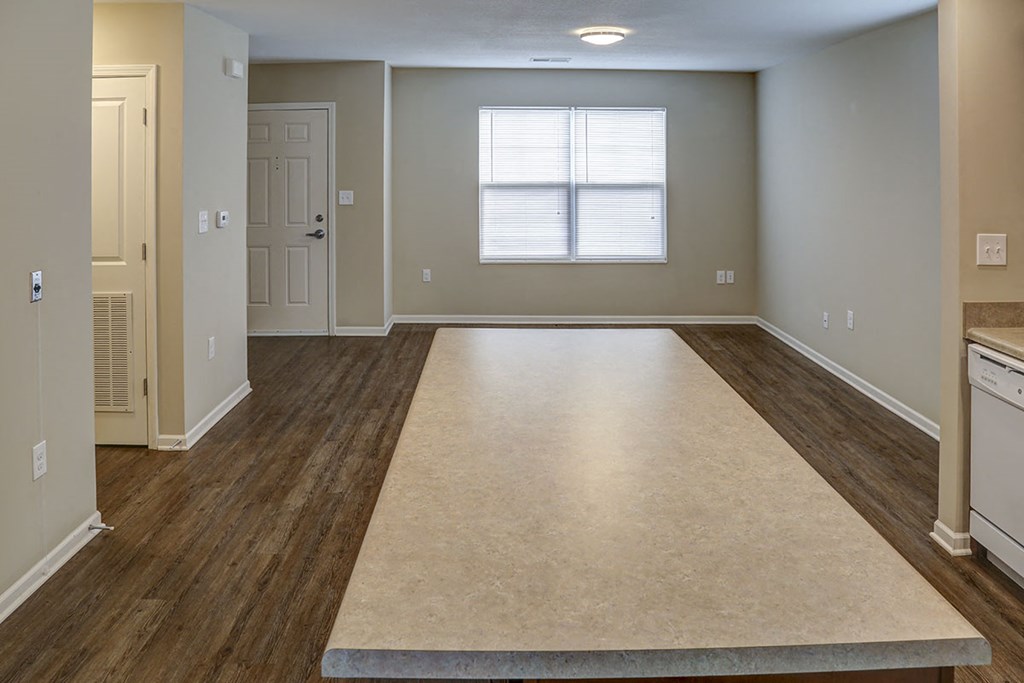 an empty living room with a rug and a window
