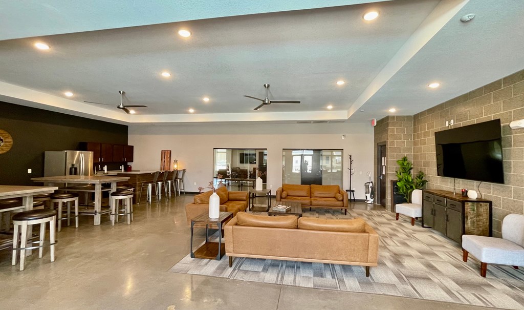 A spacious living room with a brown sofa and a grey rug.