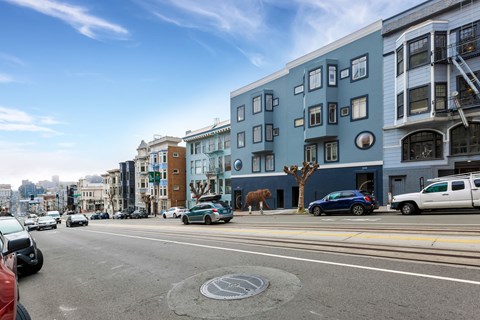A street view with cars, buildings, and a tree.