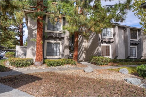 front view of a grey apartment building with trees and a sidewalk