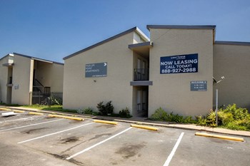 6707 Berkman Drive Studio-1 Bed Apartment for Rent - Photo Gallery 4