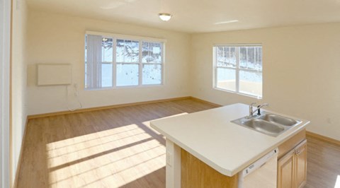A kitchen with a sink and a window.