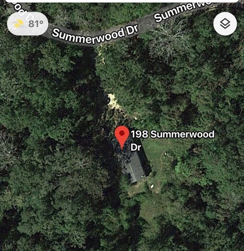 a map of a road in the woods