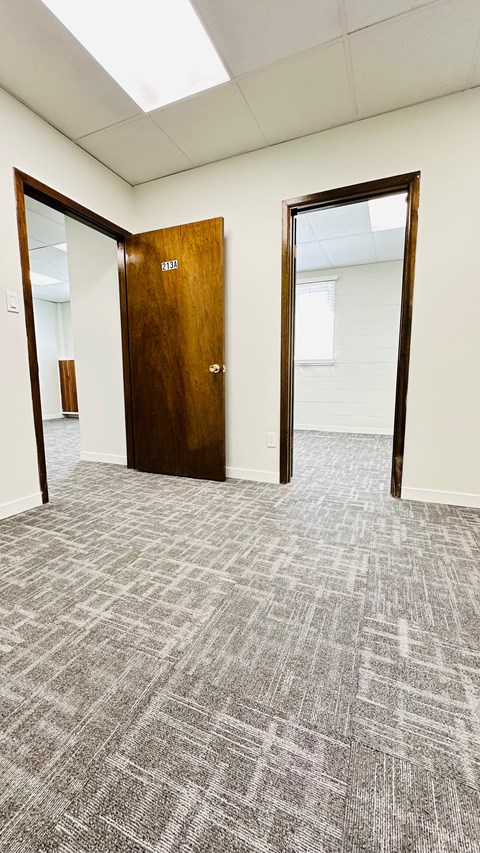 A hallway with a carpeted floor and two wooden doors.