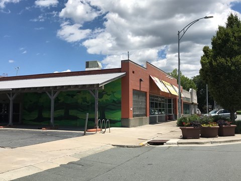 a building with a green mural on the side of it