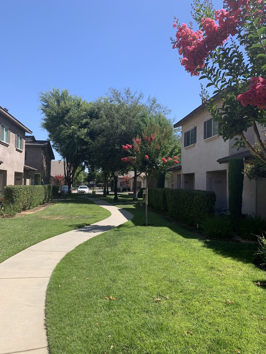 Nees Park Walkways