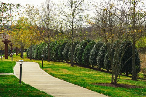 The Everly At Historic Franklin