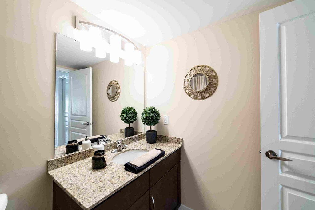 a bathroom with a sink and a mirror