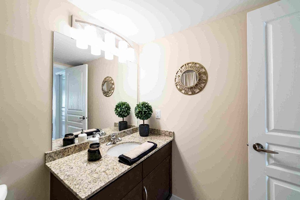 a bathroom with a sink and a mirror