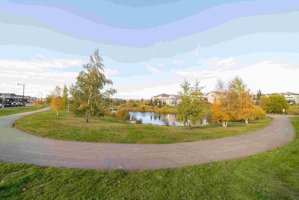 a winding path around a lake with houses in the background
