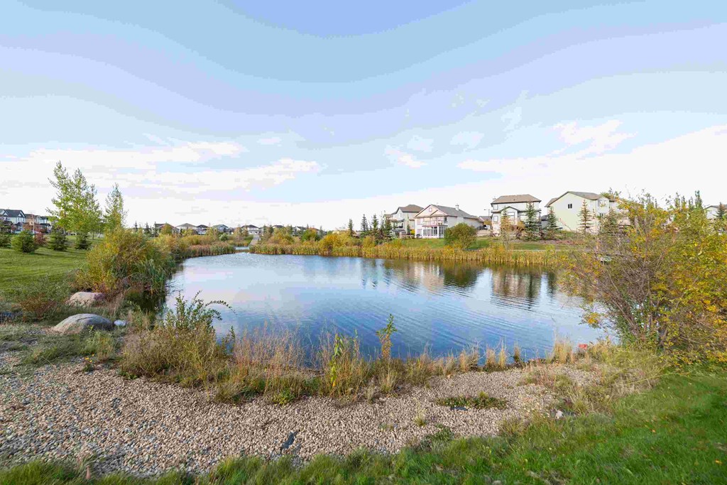 a small pond with houses in the background