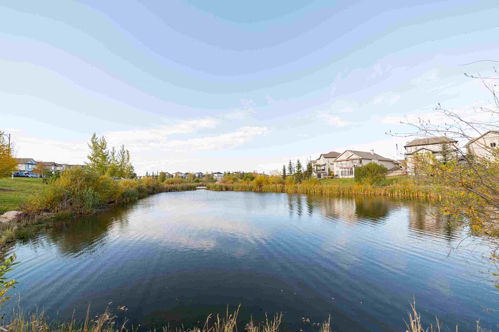 a small lake with houses in the background on a sunny day