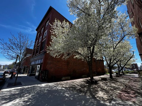 A tree with white blossoms stands in front of a red brick building.